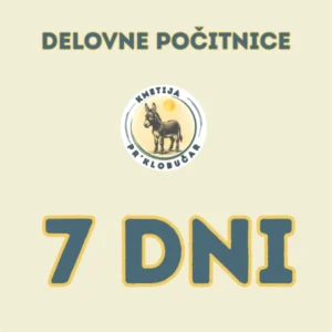 DELOVNE POČITNICE <br>7 DNI