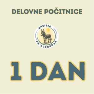 DELOVNE POČITNICE <br>1 DAN